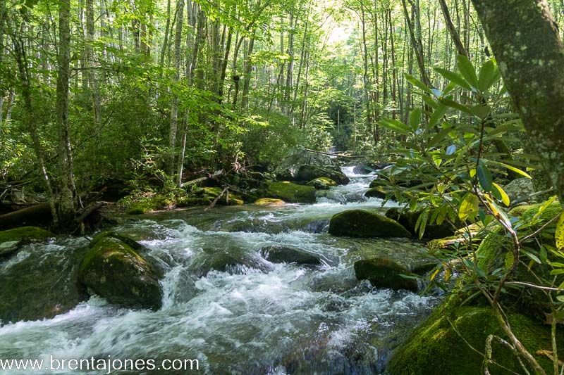 A Visual Journey through Middle Prong Trail: The Magic of Waterfalls