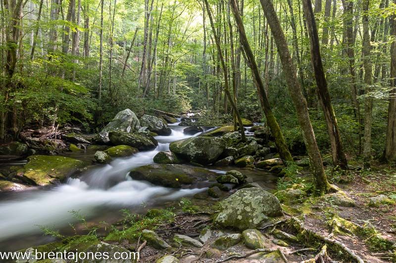 A Visual Journey through Middle Prong Trail: The Magic of Waterfalls