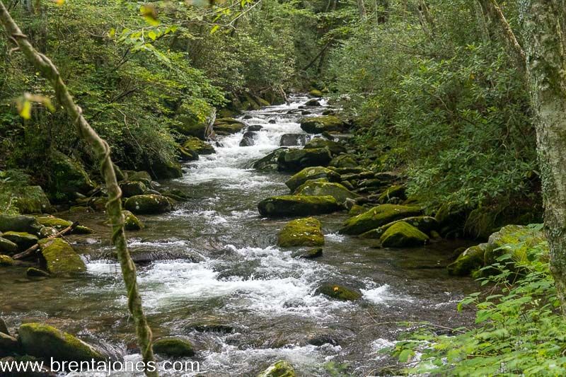 A Visual Journey through Middle Prong Trail: The Magic of Waterfalls