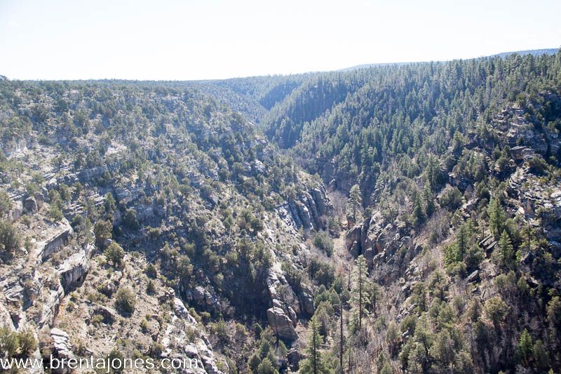 Walnut Canyon: A Journey Through Time and Natural Beauty