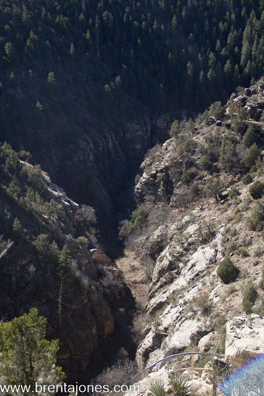 Walnut Canyon: A Journey Through Time and Natural Beauty