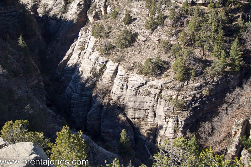 Walnut Canyon: A Journey Through Time and Natural Beauty