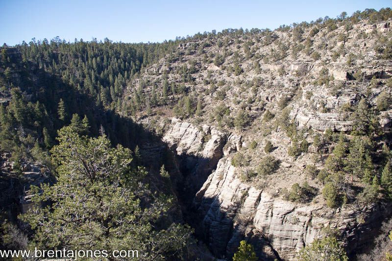 Walnut Canyon: A Journey Through Time and Natural Beauty