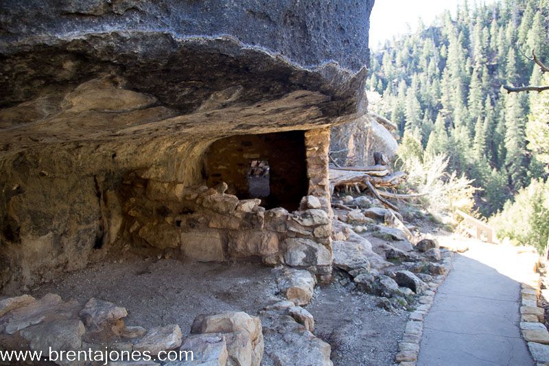 Walnut Canyon: A Journey Through Time and Natural Beauty